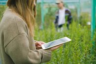 services-03 Side view of crop anonymous female gardener using digital device for taking picture of green plants in glasshouse